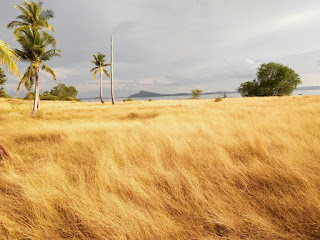 Padang Savana