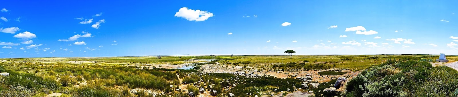 P1020398