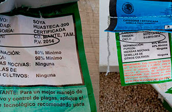 Semillas caducas: entregan granos del 2014 para siembra del 2015 a campesinos de QR, son “semillas mejoradas”, dice González Flores, costaron 7MDP (fotos)