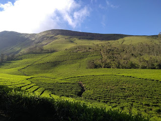 Places to Visit in Munnar