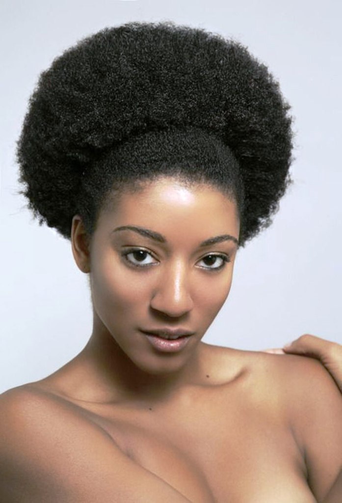 Black Natural Hairstyles Afro