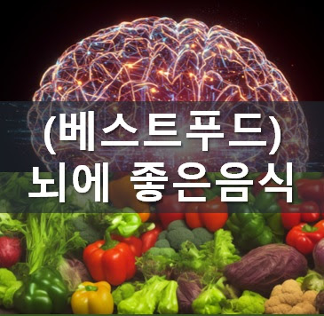 (베스트푸드) 뇌에 좋은 음식..기억력과 집중력을 높이는 식단