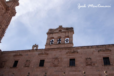 salamanca, madrid, ispanya, spain, gezi, seyahat blog, travel