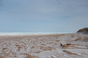 This beach was also a little less windy which made our walk on the beach .