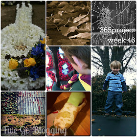 Five Go Blogging 365project week 46