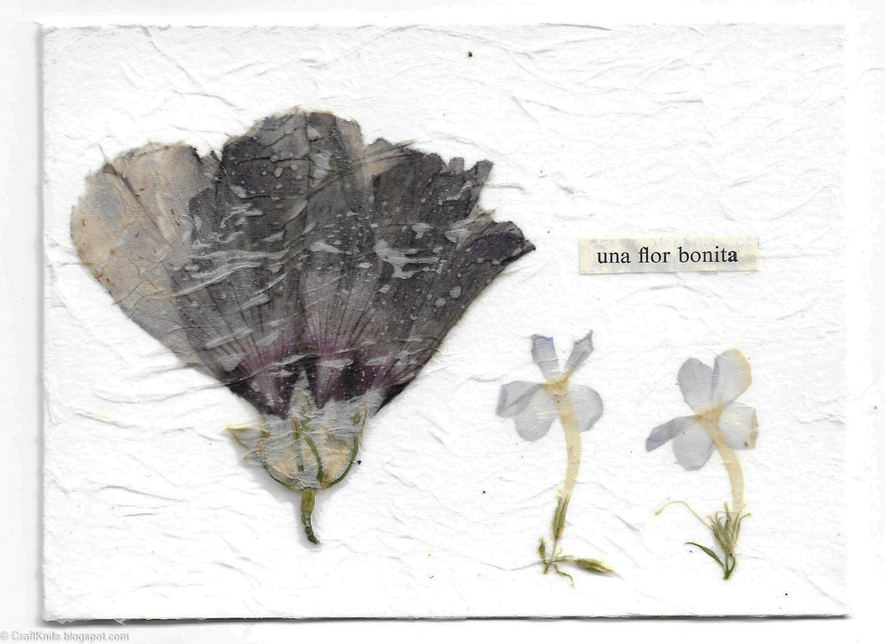 Craft Knife: Decoupaged Pressed Flower Greeting Cards, and a Real-World  Practicum in First Aid