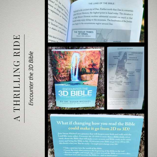 Take a Three-Dimensional Dive into the Bible With This Guide