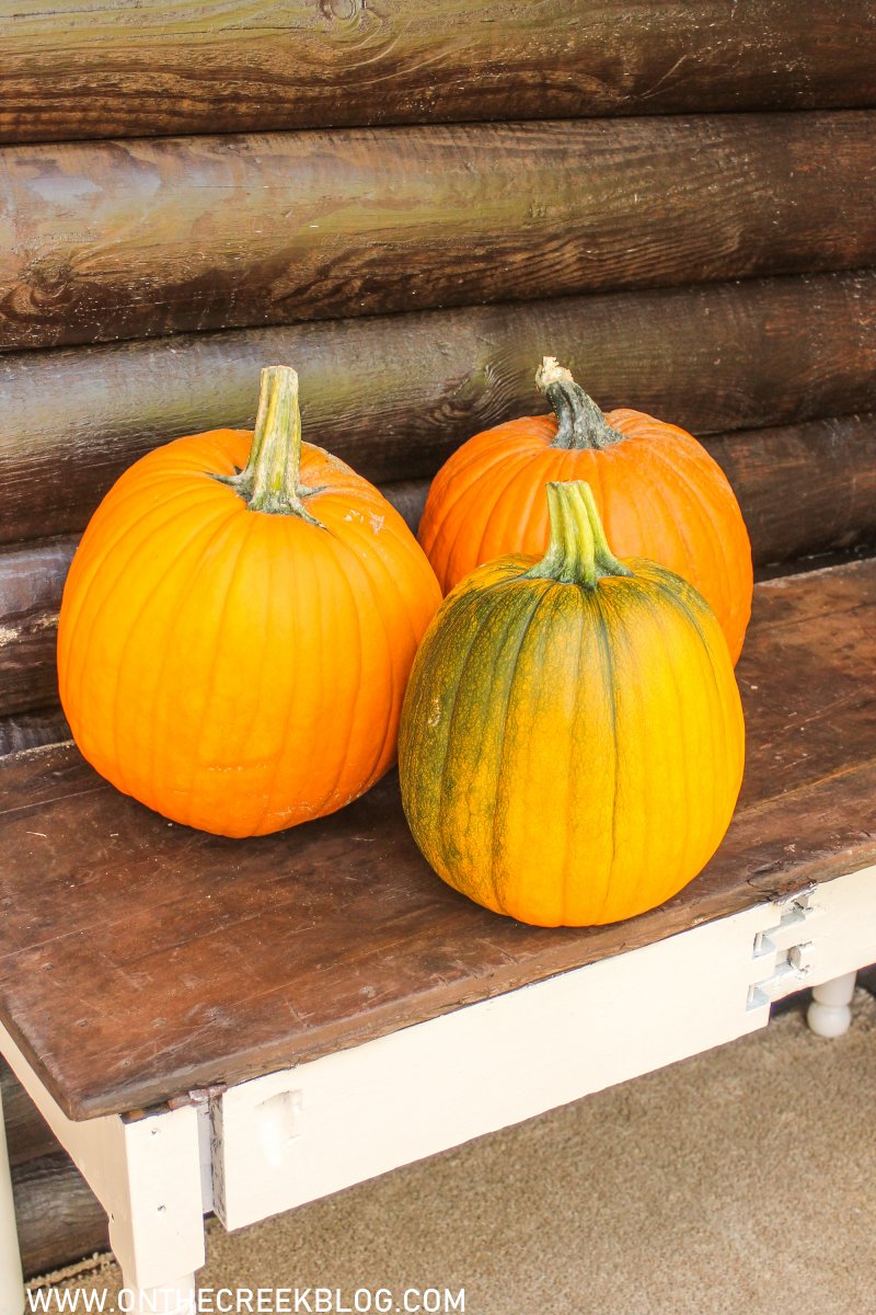 pumpkins grown in our garden | On The Creek Blog