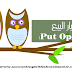 خيار البيع (Put Option) 