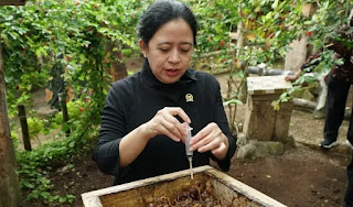 Belajar Menghargai dari Kebun Lebah Simpur