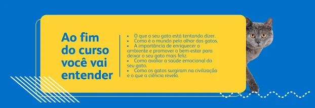 comunicatbr blog comunicat comunicat.pet gatos gatinhos cats felinos gateiros tutores de gatos