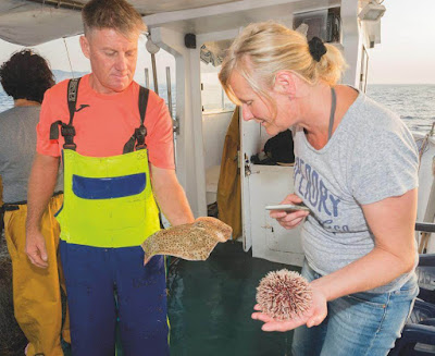 Excursiones de Pescaturismo en Alcúdia