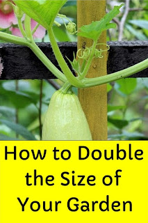 How to Double the Size of Your Garden with Vertical Gardening