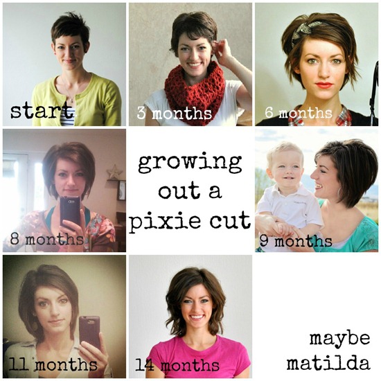 pixie growth collage