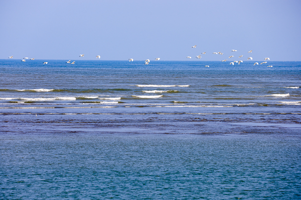 新竹香山海之聲散步吹海風賞海景，大風車下聽海浪的聲音好療癒