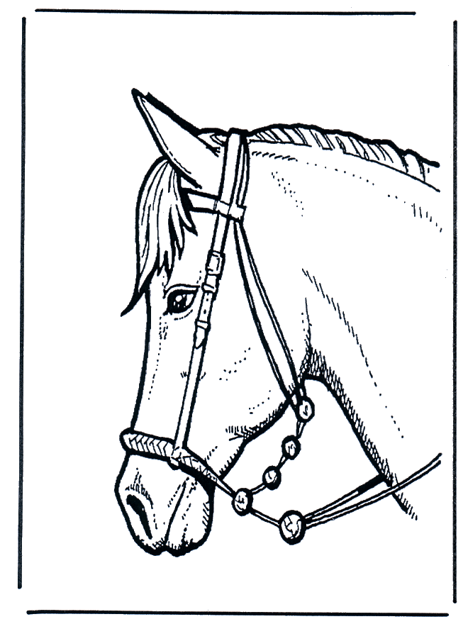 Download Animal Stronger " Horse Head " coloring to print
