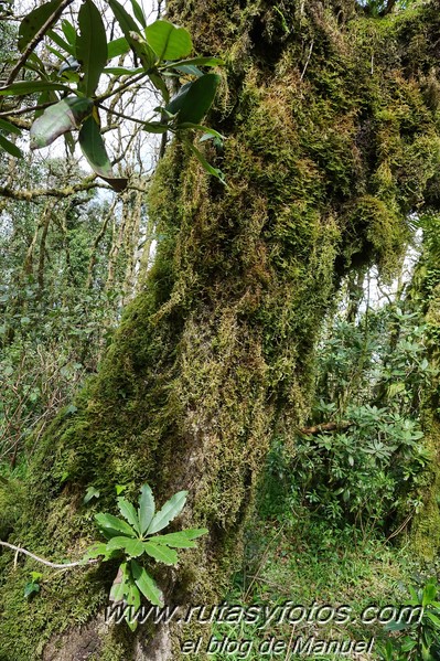 Cascadas del río de los Molinos - Tajo de la Corza - Llanos del Juncal - Pico Luna - Sendero de los Calabozos