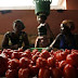 The Dangote Tomato Processing Factory in Kadawa, Kano State, has suspended productions