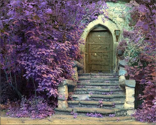 front door step images Purple Castle Door | 500 x 399