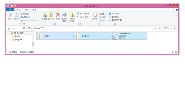 ２つのフォルダと１つのファイルがSDカードに貼り付けられた図