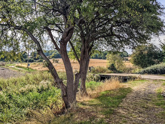 Cross the bridge then head SE on Walkern footpath 12