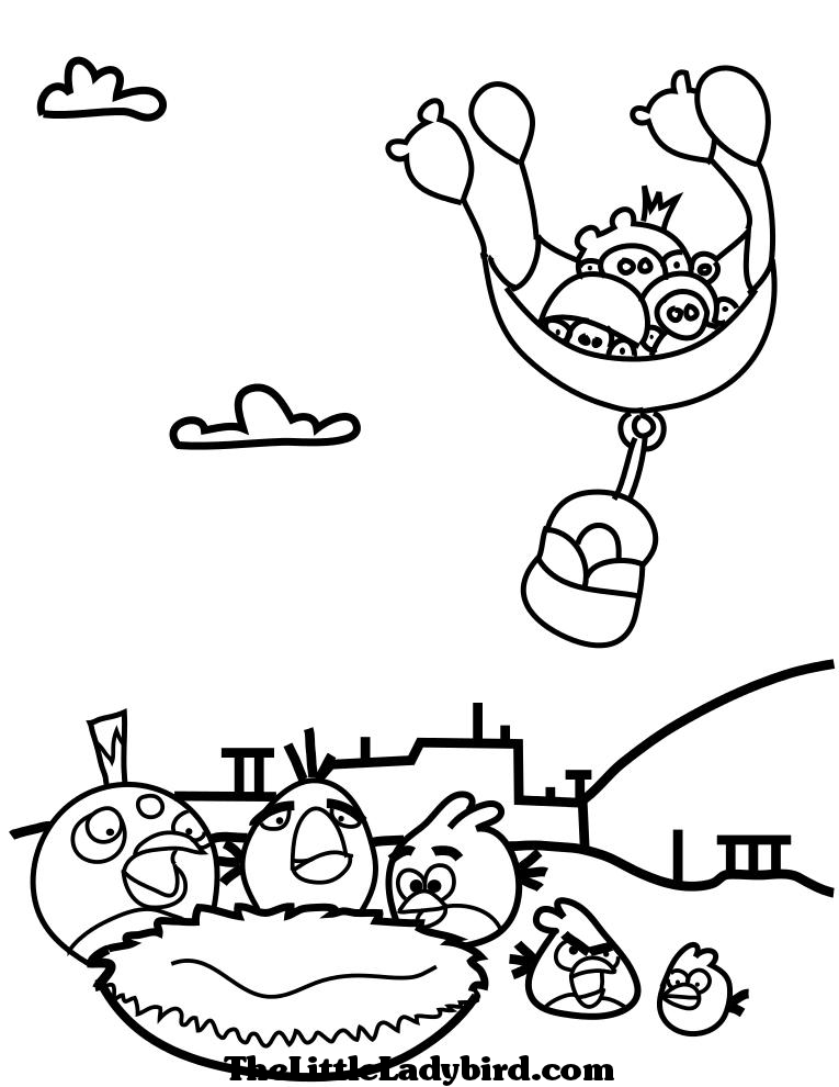 Coloring Pages Birds