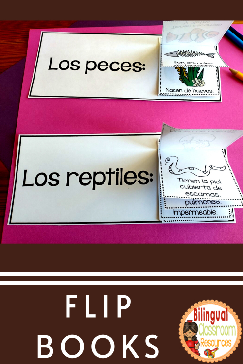 Engaging and visual animal classification activities for centros de ciencias