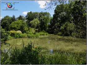 GELAUCOURT (54) - Jardin d'eau de l'Aubepré