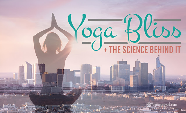 Science Yoga Bliss