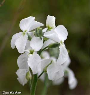 New Zealand Photographer