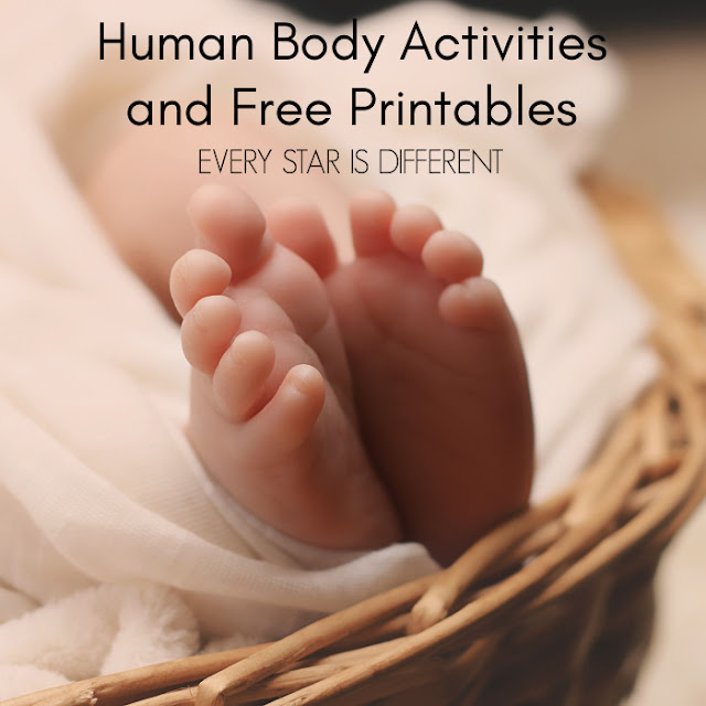 Human Body Activities and Free Printables