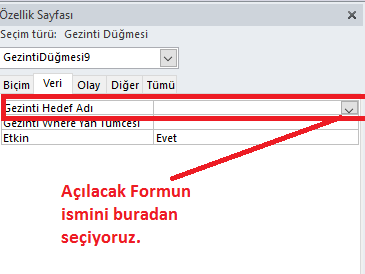 gezinti formları