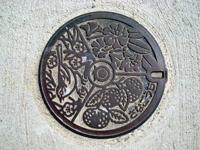 Tokushima manhole