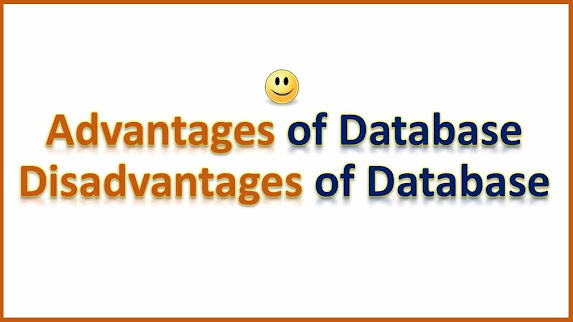 Advantages and Disadvantages of DBMS