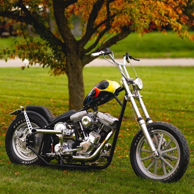 Harley Davidson By Ben Jeff