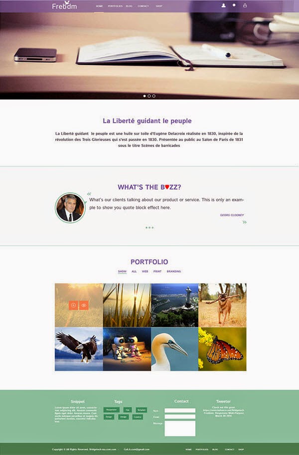 Freedom PSD Website Template