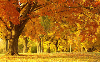 Beautiful Autumn HD Wallpaper Photos