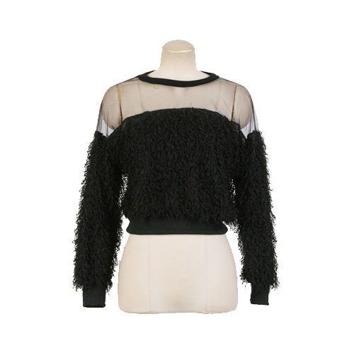 Sheer Top Feathered Cropped Tee