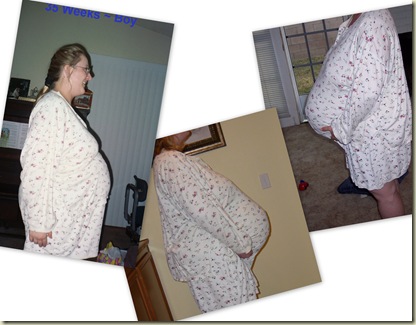 Mommy's Belly3