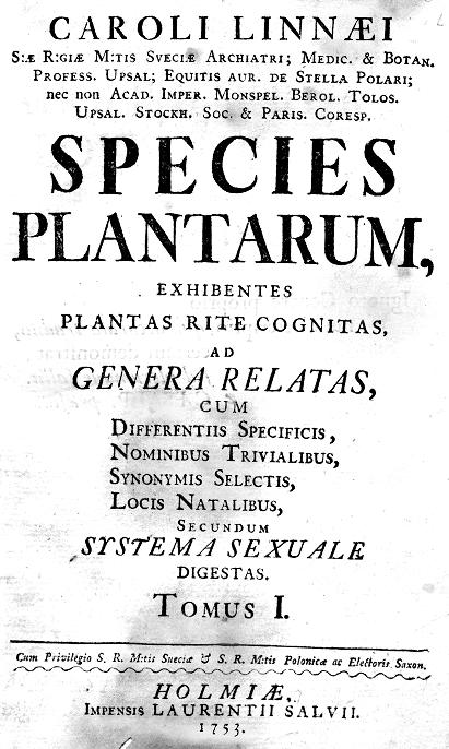 Описание картофеля в работе Карла Линнея «Species Plantarum» (том 1, стр. 185)
