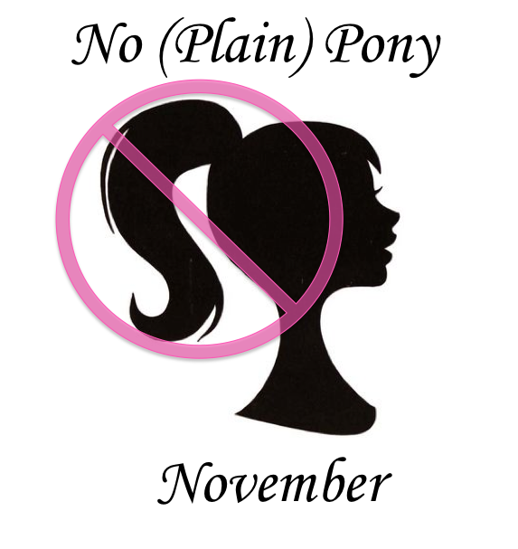 No Plain Pony November Wrap-Up