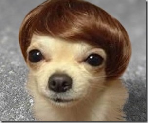 peluquin