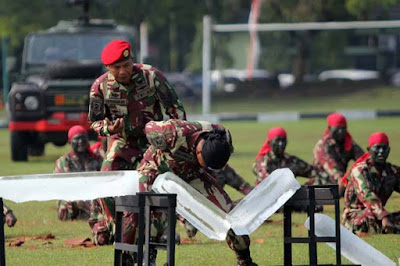 bela diri tentara indonesia