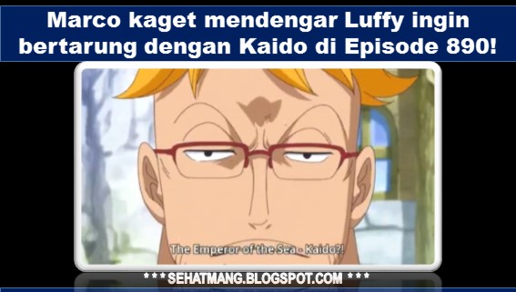 Marco kaget mendengar Luffy ingin bertarung dengan Kaido di Episode 890!