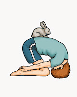 Image result for rabbit posture
