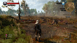 Download The Witcher 3 : Wild Hunt