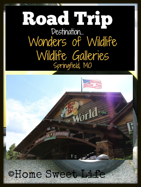 Wonders of Wildlife, Johnny Morris, Wildlife Galleries, Springfield MO, road trip, family trip, Bass Pro Shops