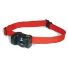 dog training collar,dog training,dog training collars,best dog training collar,e collar dog training,e collar training,dog training collar review,e collar training heel,dog training collar reviews,dog training collar with remote,dog shock collar,shock collar,remote collar training,e collar training puppy,dog collar,best training collar for stubborn dogs,training collar,dog collar training,collar for dog training,dog training videos,dog shock collar training,patpet dog training collar,training