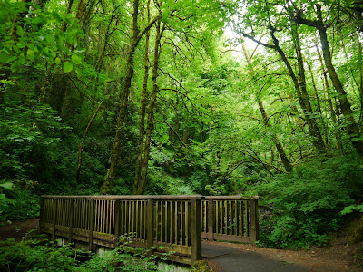 https://www.onlyinyourstate.com/oregon/forest-park-or/