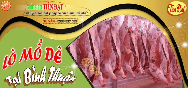 Lò mổ dê Bình Thuận bán thịt dê giá rẻ